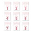 Load image into Gallery viewer, Blush Ikat Table Numbers | Coll. 12