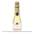 Load image into Gallery viewer, "Evelyn" Watercolor Bloom Bridal Shower Champagne Labels