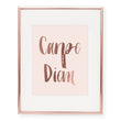 Load image into Gallery viewer, Carpe Diem Foil Art Print