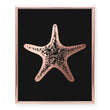 Load image into Gallery viewer, Starfish Foil Art Print