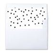 Load image into Gallery viewer, Festive Black and White Envelope Liners | Gunnar