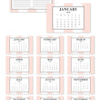 Load image into Gallery viewer, 2020 Classic Blush Stripe Desk Calendar by Digibuddha | Coll. 21