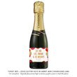 Load image into Gallery viewer, "Leigh" Red + Gold Glitter Dots Be Merry Champagne Labels