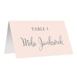 Load image into Gallery viewer, Blush + Silver Place Cards | Mila