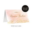 Load image into Gallery viewer, Blush Pink Place Cards in Watercolor + Gold | Monica