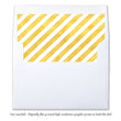 Load image into Gallery viewer, Striped Liners
