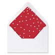 Load image into Gallery viewer, Envelope Liner