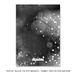 Load image into Gallery viewer, Champagne Black Gold Brunch & Bubbly Bridal Shower Invitation with black and gold hues, champagne glasses, and tie dye effect