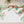 Load image into Gallery viewer, Transform your dining scene with our Christmas Evergreen Paper Placemats. Exquisite evergreen and holly design add a festive cheer, making every meal a celebration. Digibuddha&#39;s placemats are your ticket to a luxurious, cheerful dining experience this holiday season.
