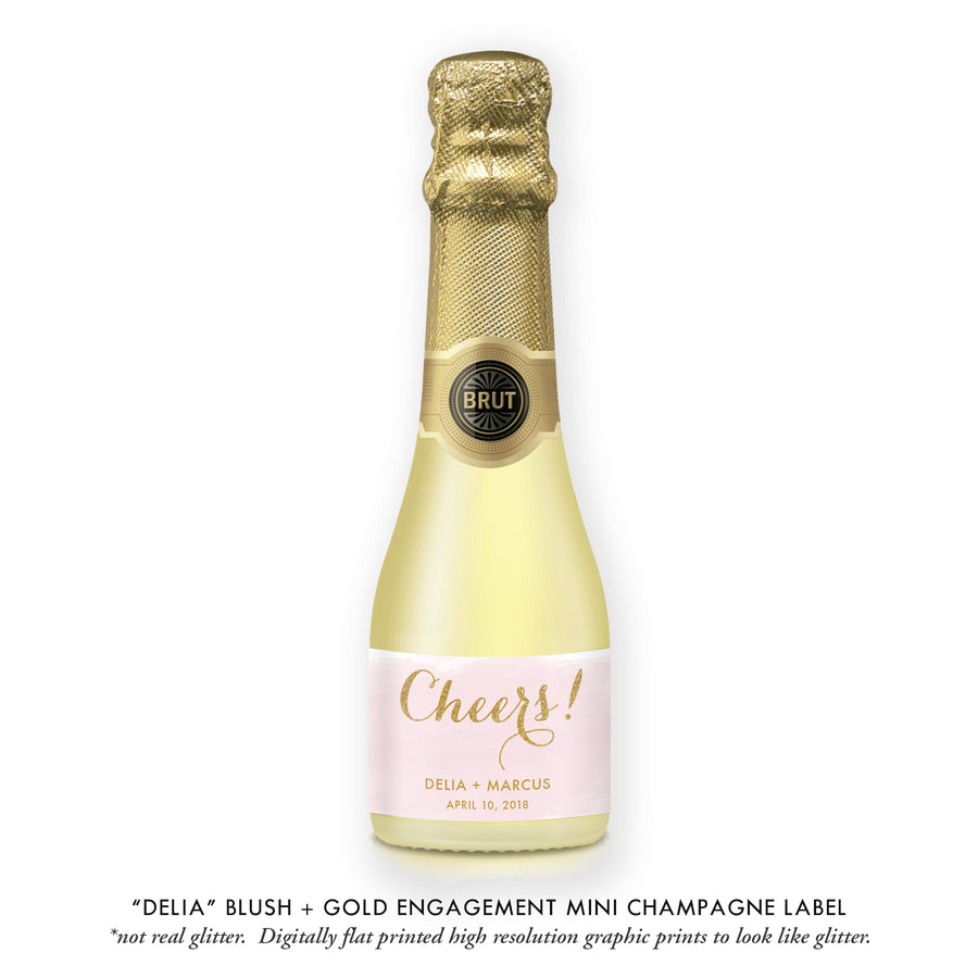 "Delia" Blush + Gold Wedding Champagne Labels