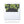 Load image into Gallery viewer, Peace Branches Chalk Photo Holiday Card | Drake
