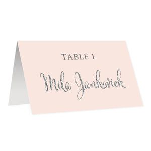 Blush + Silver Place Cards | Mila