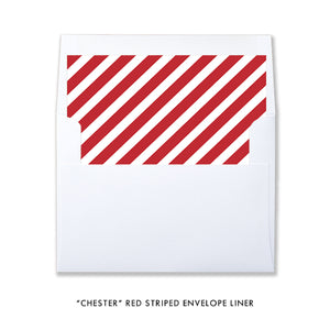 Envelope Liner