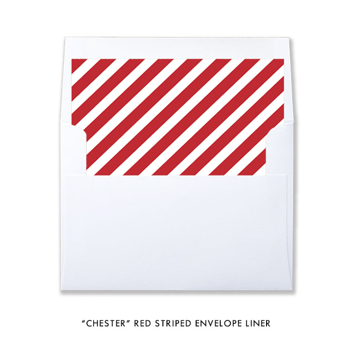 Envelope Liner