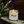 Load image into Gallery viewer, Sage Evergreen Soy Candle
